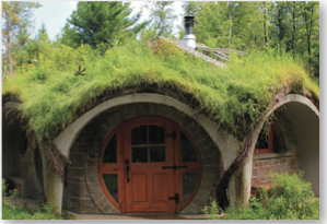 Entre Cime et racines